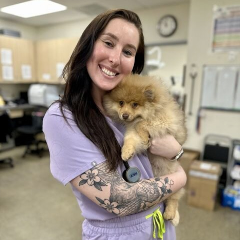 A VTC vet holds a small dog in a veterinary clinic. A VTC vet holds a small dog in a veterinary clinic.